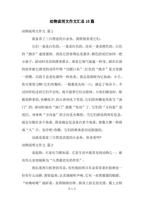 动物说明文作文汇总10篇
