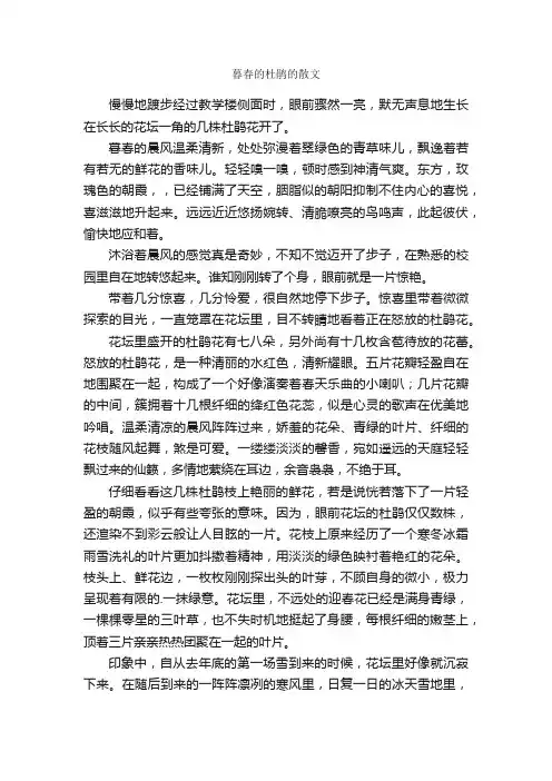 暮春的杜鹃的散文