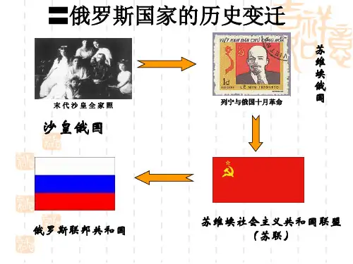高考第一轮复习总结苏联社会主义建设道路的初期探索xiugai