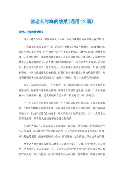 读老人与海的感受(通用12篇)