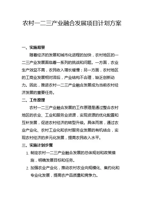 农村一二三产业融合发展项目计划方案(八)