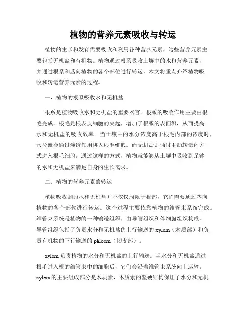 植物的营养元素吸收与转运
