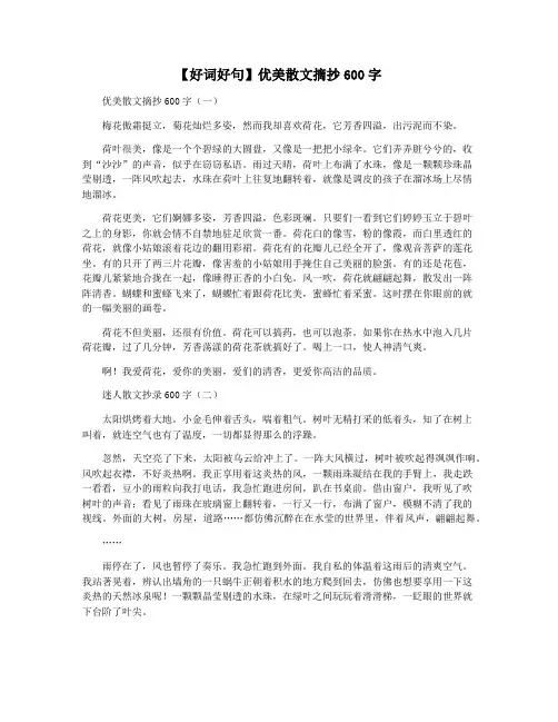 【好词好句】优美散文摘抄600字