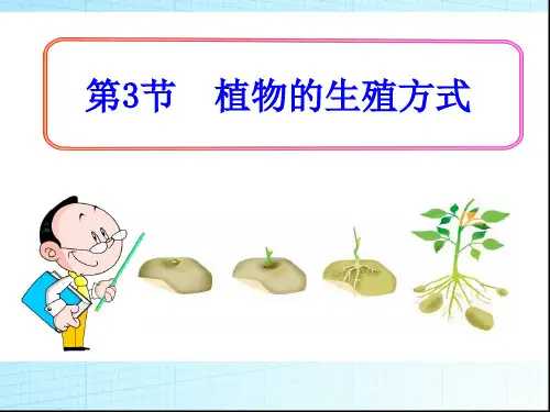 北师大版八年级生物上册植物的生殖和发育