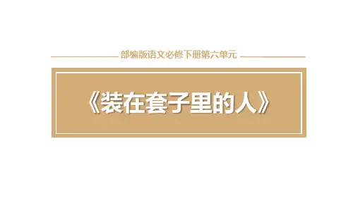 《装在套子里的人》PPT优质课件