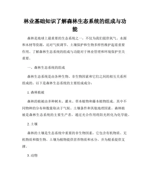 林业基础知识了解森林生态系统的组成与功能