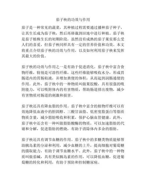 茄子秧的功效与作用