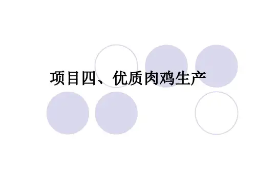 优质肉鸡生产
