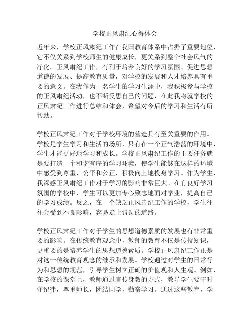 学校正风肃纪心得体会