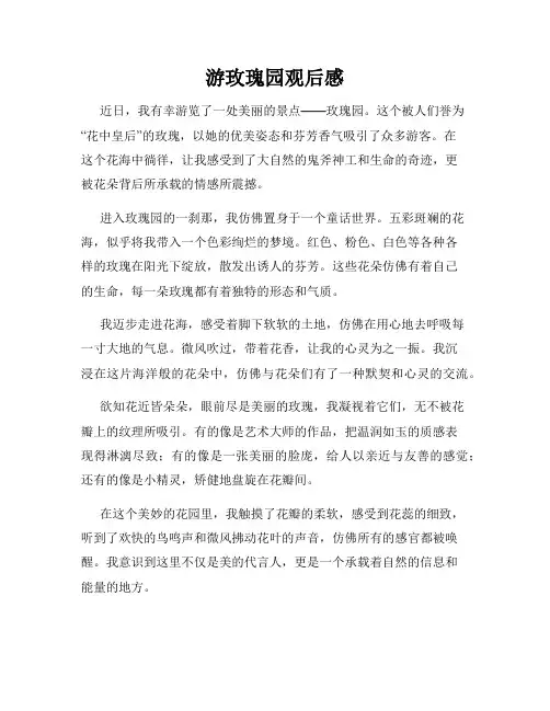 游玫瑰园观后感