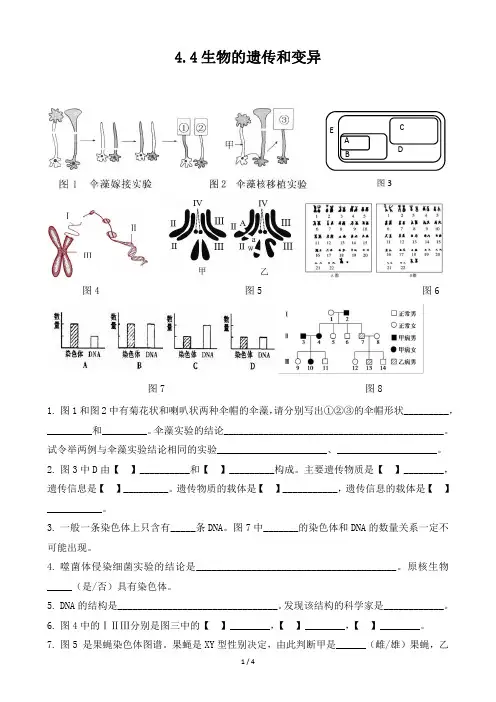 初中生物专题4.4遗传与变异基础背默带答案直接打印版