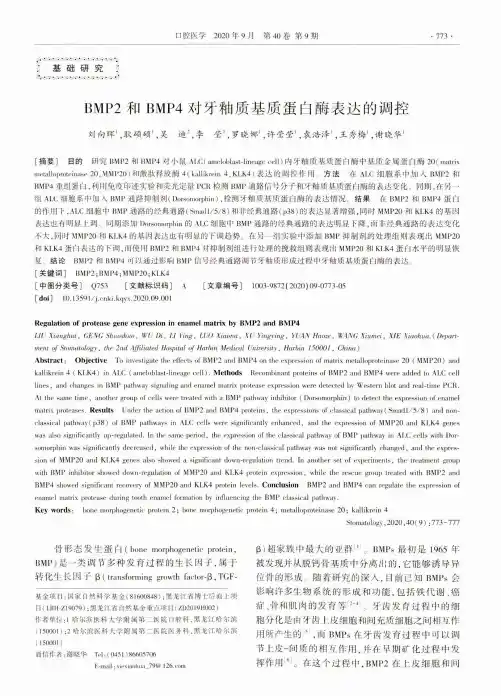 BMP2和BMP4对牙釉质基质蛋白酶表达的调控