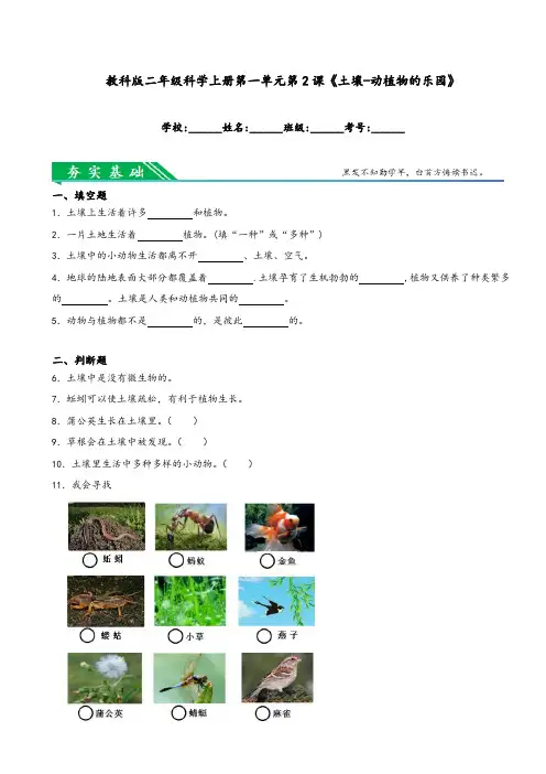教科版二年级科学上册第一单元第2课《土壤——动植物的乐园》(附解析答案)