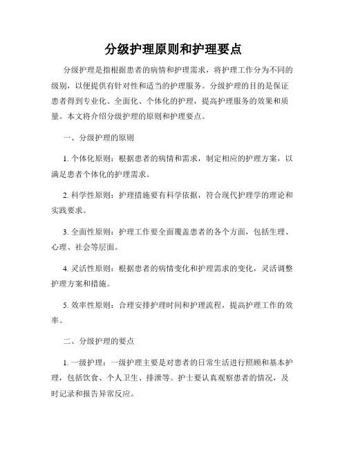 分级护理原则和护理要点