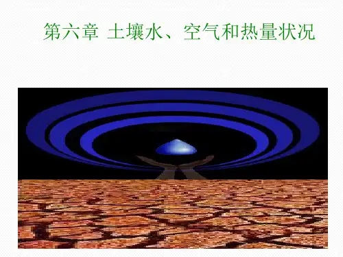 土壤水