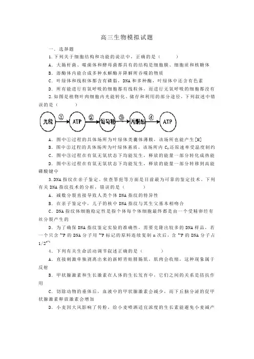 高考生物模拟试题