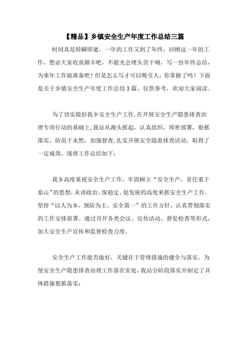 2020年【精品】乡镇安全生产年度工作总结三篇
