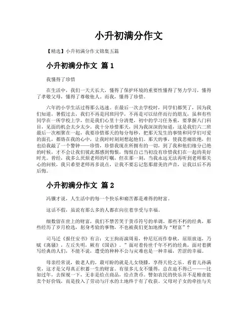 小升初满分作文