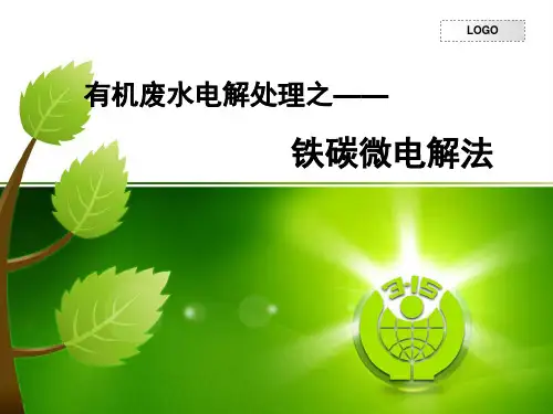 有机电化学之铁碳微电解法介绍