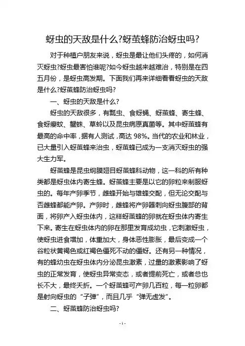 蚜虫的天敌是什么-蚜茧蜂防治蚜虫吗-