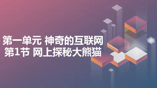 川教版三年级下册信息技术第一单元 神奇的互联网 第1节 网上探秘大熊猫