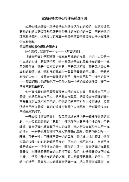 堂吉诃德读书心得体会精选5篇