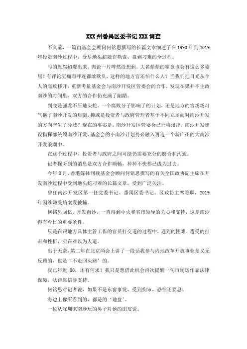 报告总结-某某某州番禺区委书记某某某调查 精品