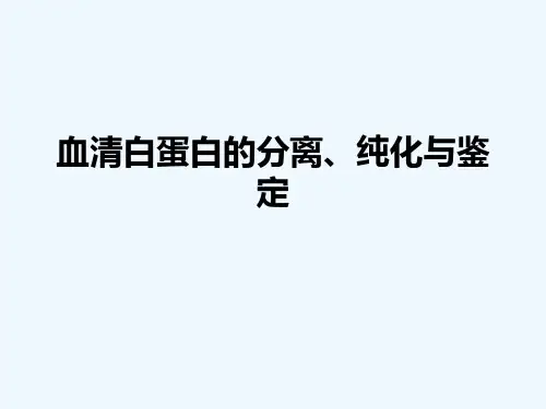 血清白蛋白的分离