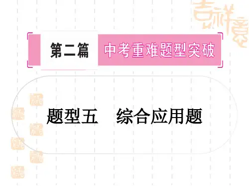中考物理总复习课件 第二篇 中考重难题型突破 题型五 综合应用题