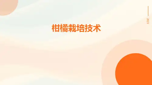 柑橘栽培技术