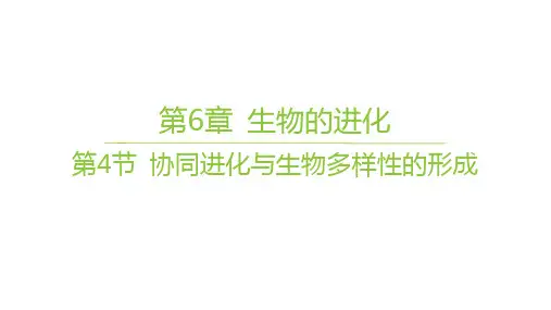 人教版高中生物学必修2精品课件 第6章 生物的进化 第4节 协同进化与生物多样性的形成