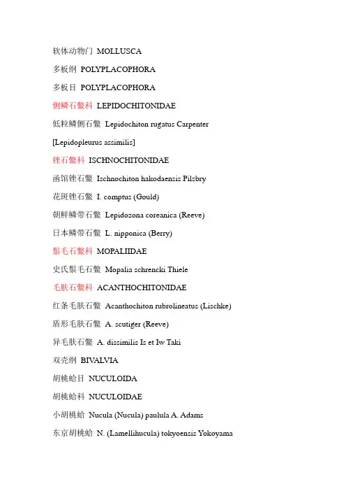 常见贝类(中文-拉丁文对照表)