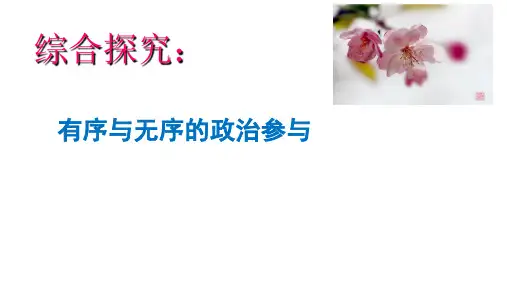 人教版高中政治必修二第一单元综合探究《有序和无序的政治参和》课件 (共24张PPT)