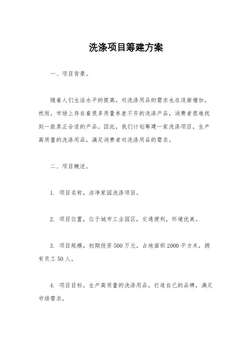 洗涤项目筹建方案