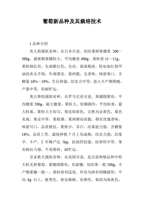 葡萄新品种及其栽培技术