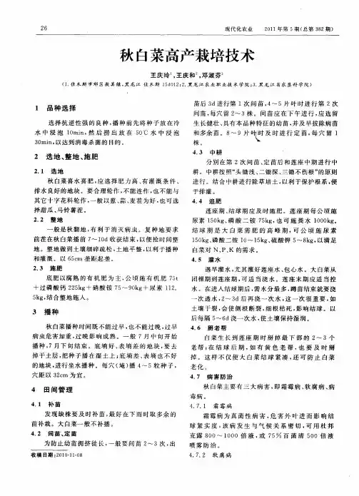 秋白菜高产栽培技术