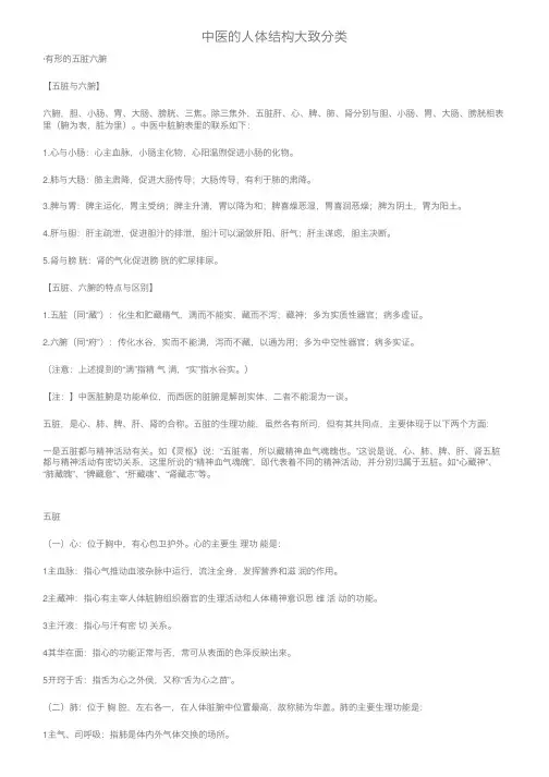 中医的人体结构大致分类