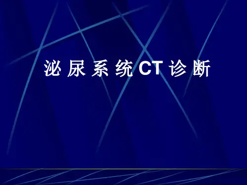 肾脏疾病CT诊断