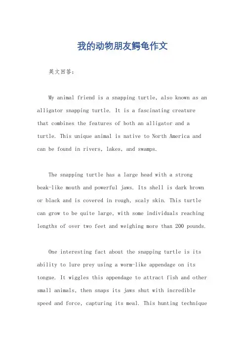 我的动物朋友鳄龟作文