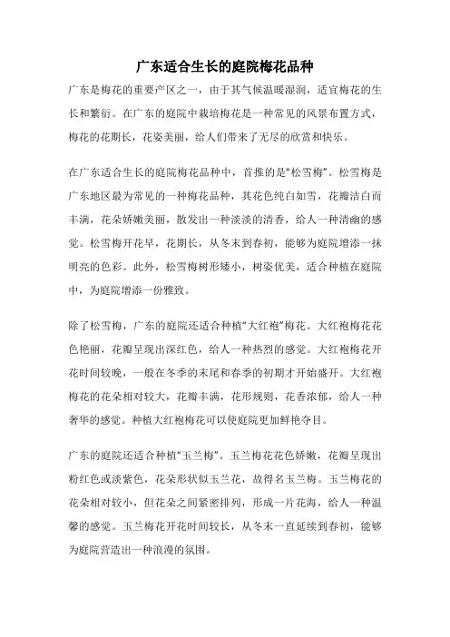 广东适合生长的庭院梅花品种