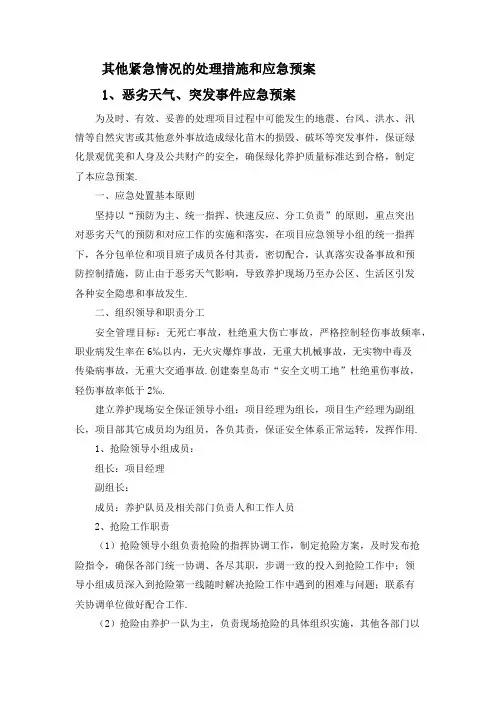 其他紧急情况的处理措施和应急预案