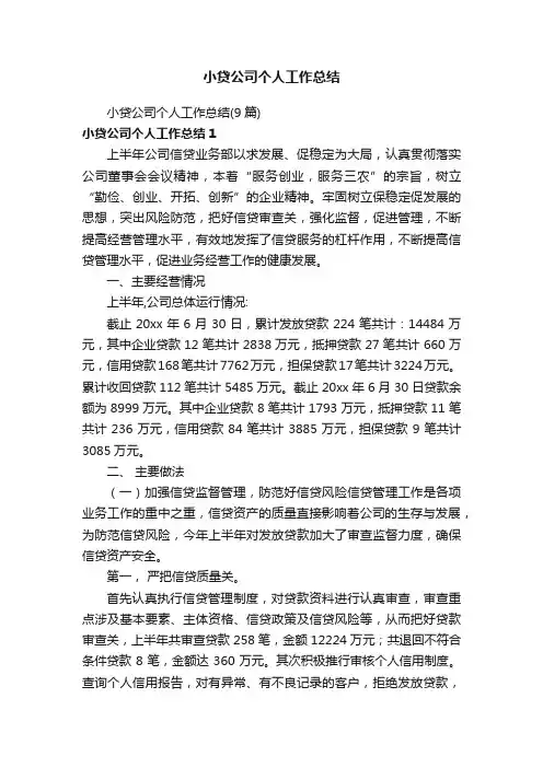 小贷公司个人工作总结（9篇）