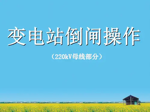 二百二十千伏母线操作资料