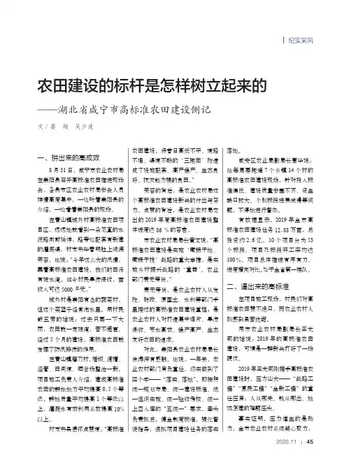 农田建设的标杆是怎样树立起来的——湖北省咸宁市高标准农田建设侧记