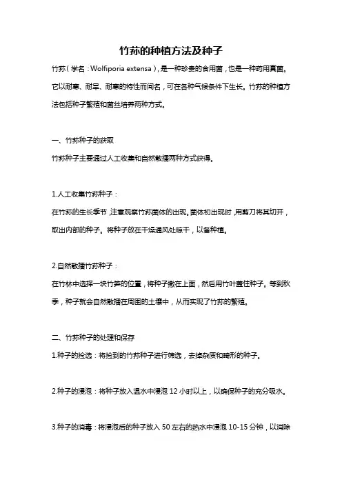 竹荪的种植方法及种子