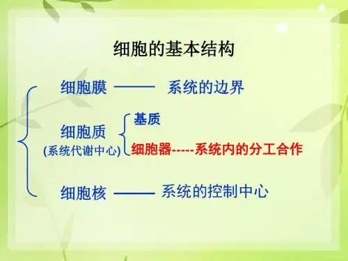 人教版高中生物必修1第3章 细胞的基本结构第2节《细胞器——系统内的分工合作》参考课件(共25张PPT)