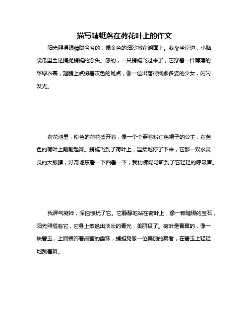 描写蜻蜓落在荷花叶上的作文