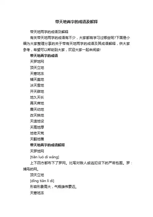 带天地两字的成语及解释