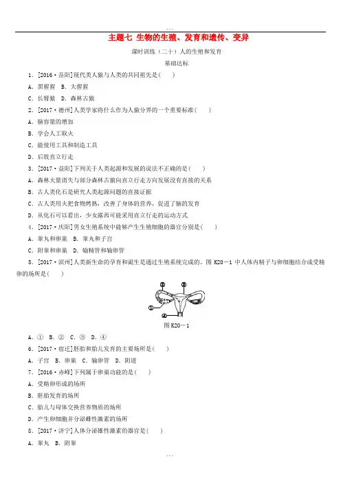 最新中考生物复习(20)人的生殖和发育作业手册(含答案)