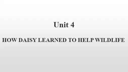 高中英语必修二 unit4 课文原文